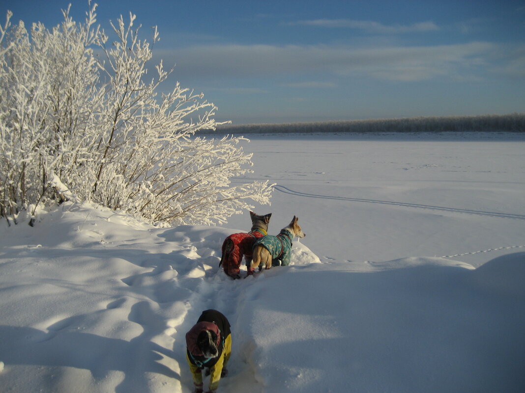 У протоки - Anna Ivanova У протоки - Anna Ivanova