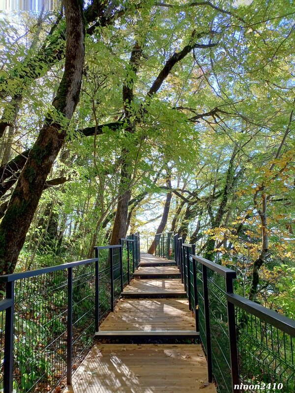 Адлер. Скайпарк - Нина Бутко