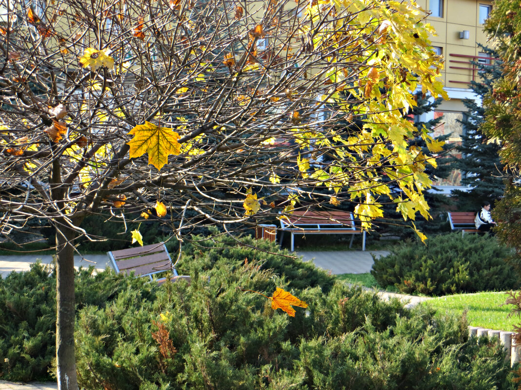 Середина ноября - Татьяна Львова