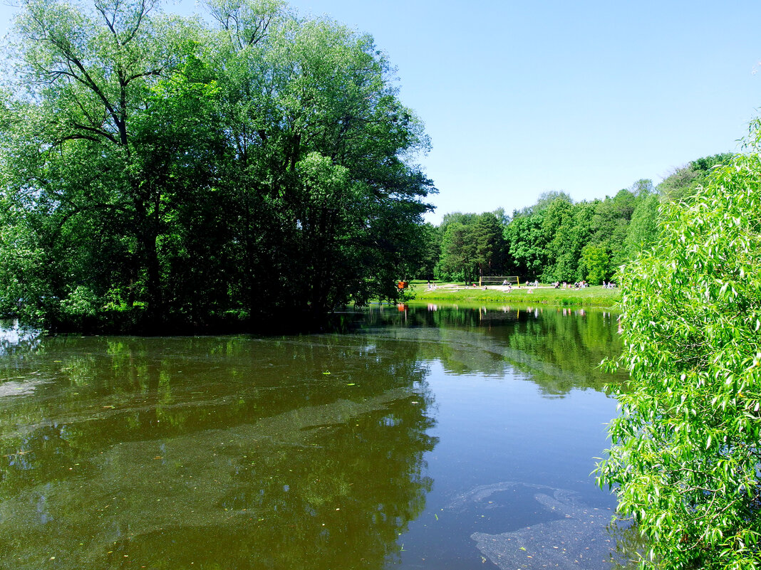 Шибаевский пруд - Игорь Белоногов