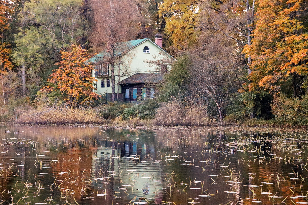Домик у пруда - skijumper Иванов
