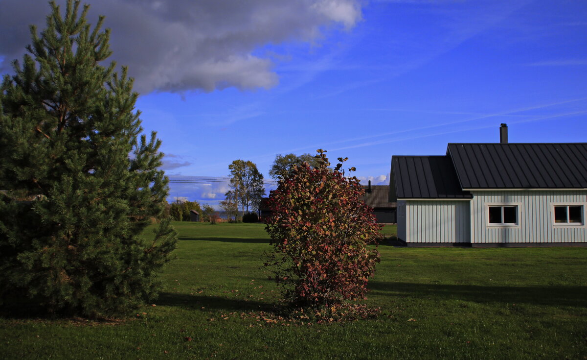 Осенний теплый день .. - Татьян@ Ивановна