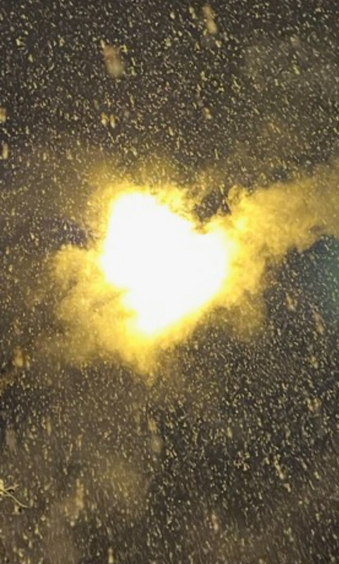 Портал - Ален Янн 