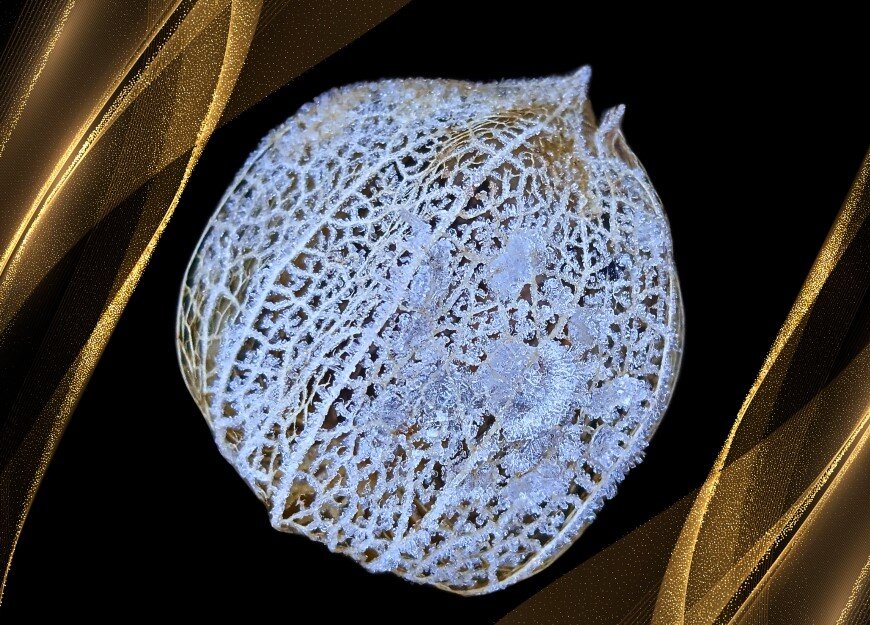 В ювелирной мастерской Природы - liudmila drake