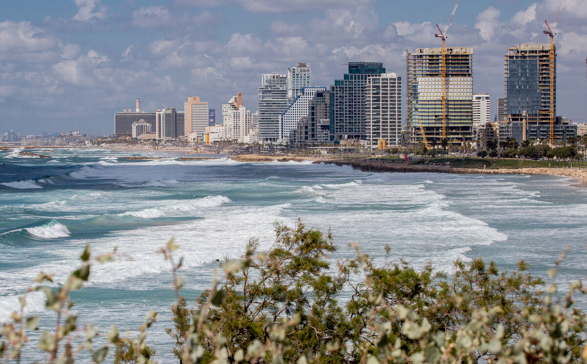 תל אבִיב - Андрей 