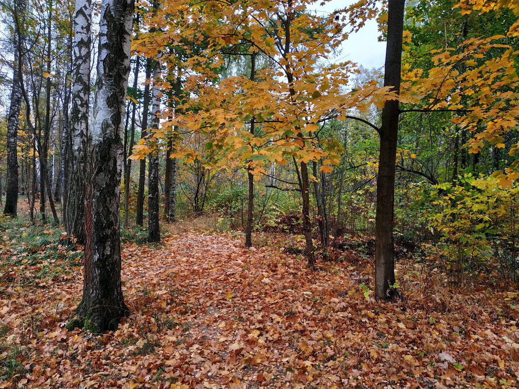 Так наступил октябрь 2023 - Андрей Лукьянов