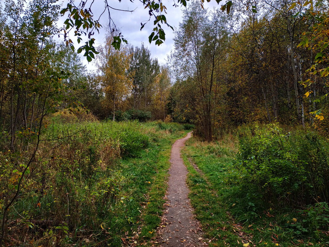 Так наступил октябрь 2023 - Андрей Лукьянов