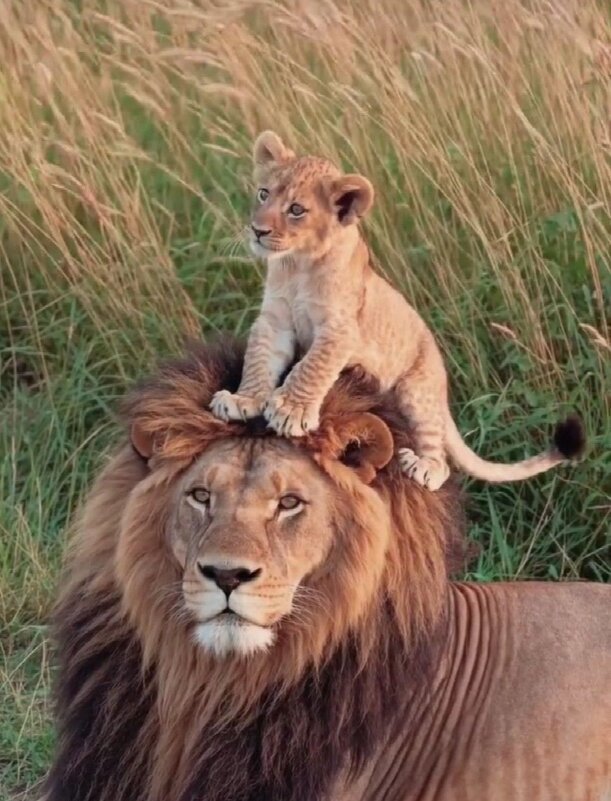 Мой батя !...:) - Валерий Кокорев