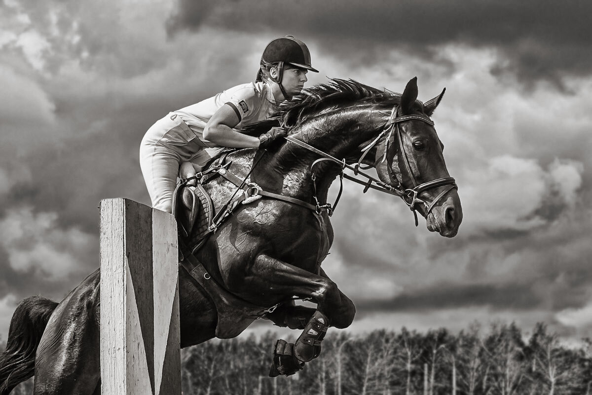 Конкур - SanSan 