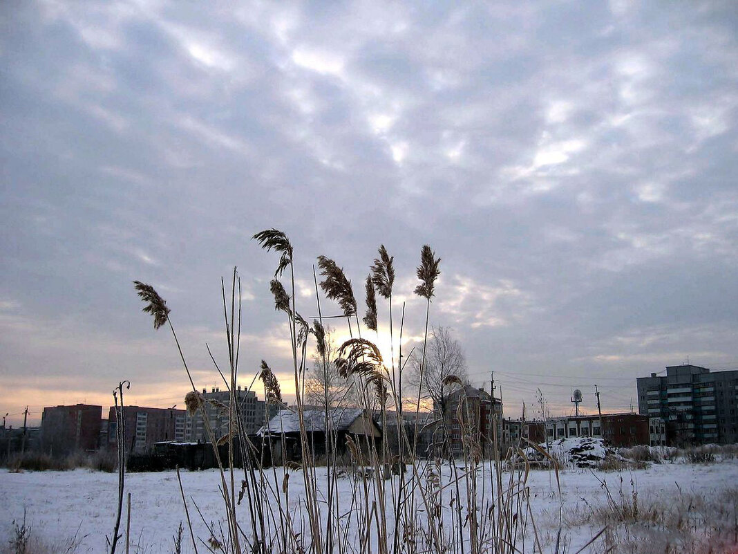 Ноябрь уж на дворе... - Владимир 