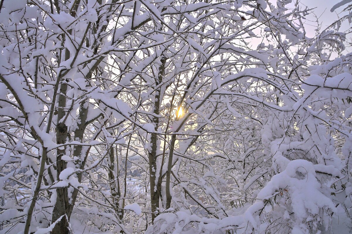 - - Владимир Мигонькин