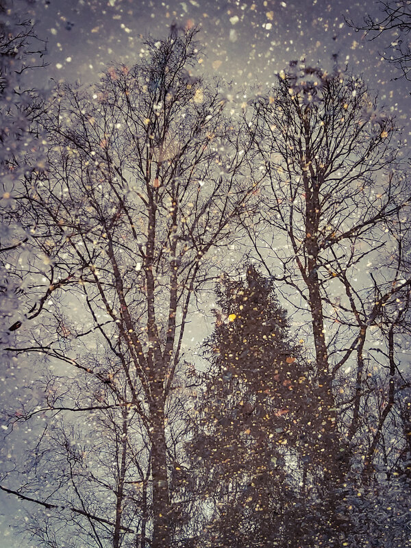 Отражение в луже - Сергей 