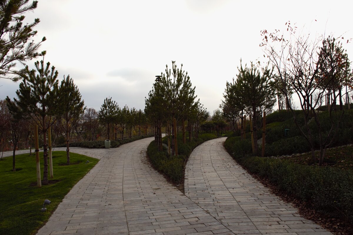 Прямо пойдешь??? - Юрий Полторыхин.