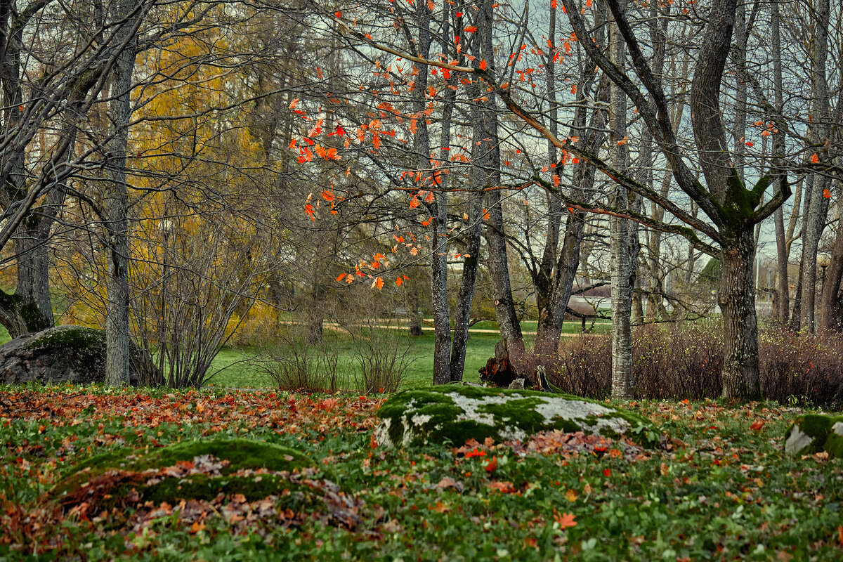 Tallinn, Fotograaf Arkadi Baranov, FEP, Estonia - Аркадий  Баранов Arkadi Baranov