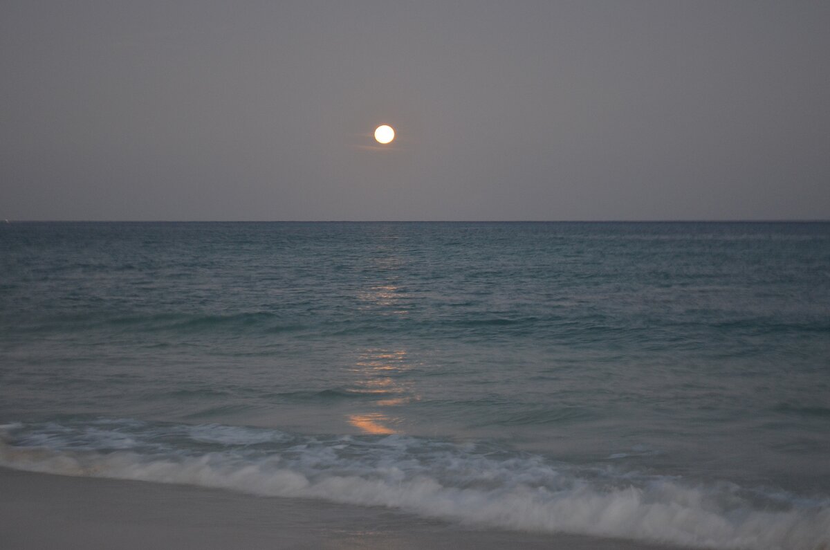 Полнолуние над Карибским морем. - Наталья Вязигина