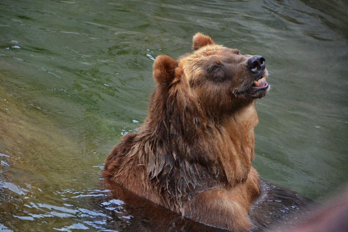 ... - Анастасия Смирнова