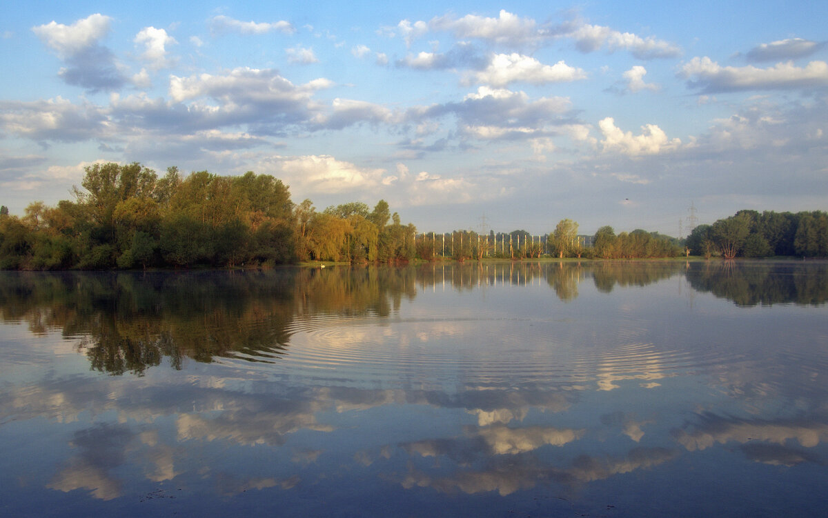 ***** - Андроник Александр 