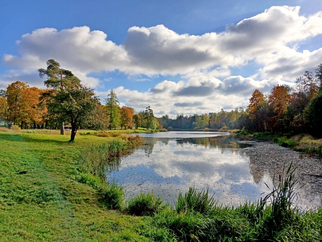 Глухое озеро. - Лия ☼ Глухое озеро. - Лия ☼