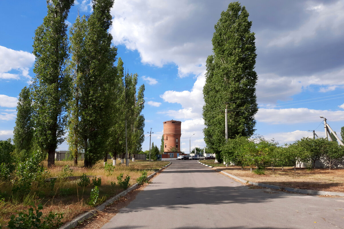 *** - Андрей Л. В.