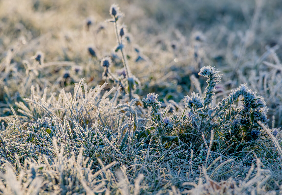 Морозная Осень.... - Sergey (Apg)