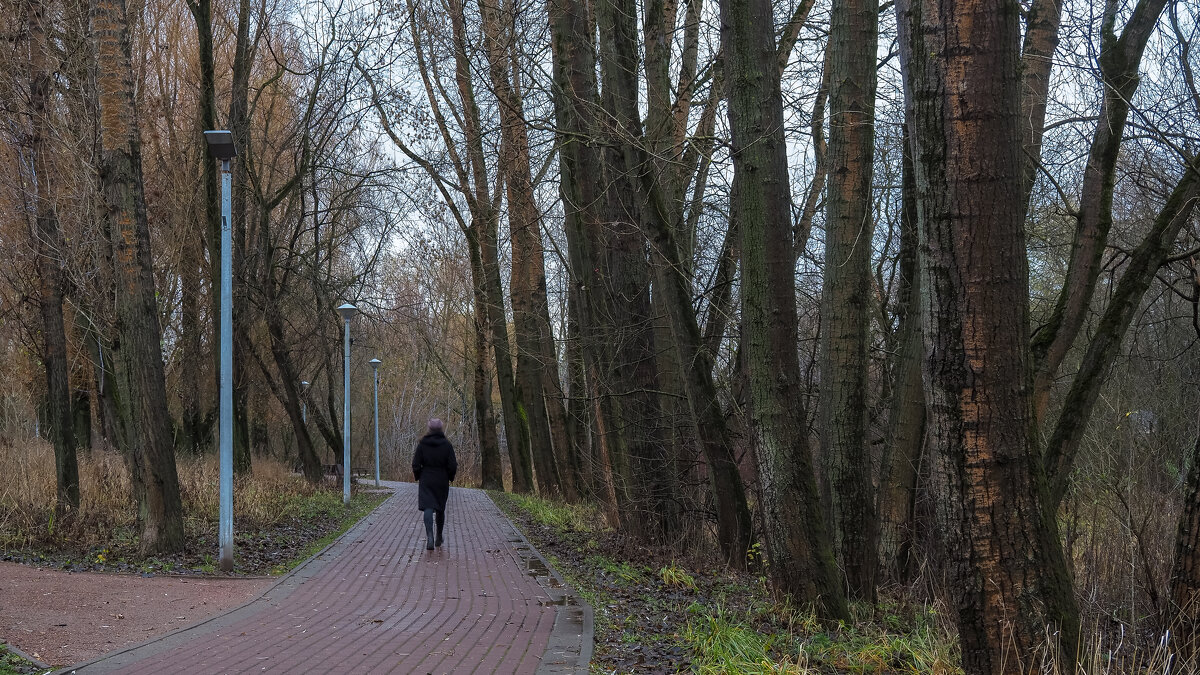 По Осеннему Парку - юрий поляков