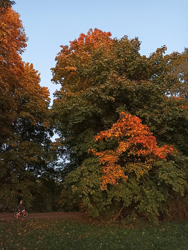 Велосипедная прогулка по осени. - Лилия * Велосипедная прогулка по осени. - Лилия *