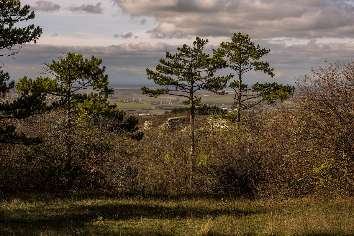 Предгорья Крыма. - Сергей Воротников