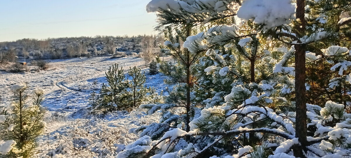 На опушке леса. - Михаил Колосов 