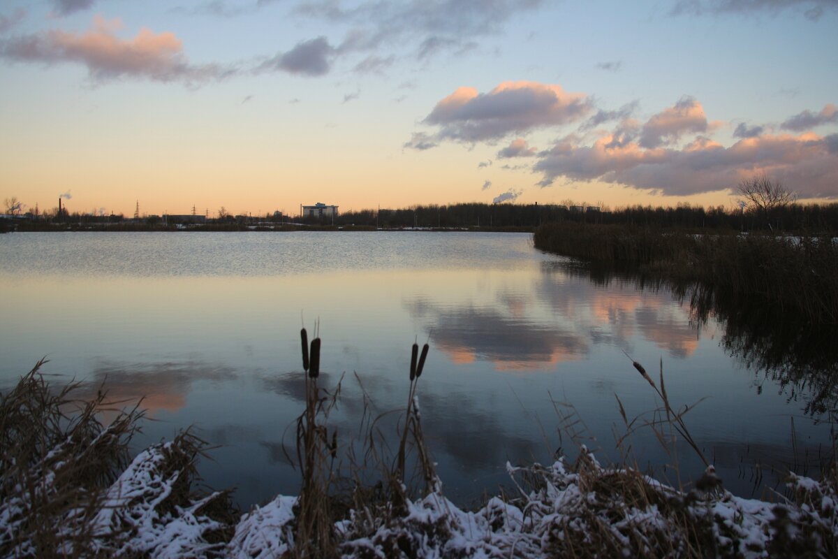 Парк Героев-пожарных. Ноябрь - Наталья Герасимова