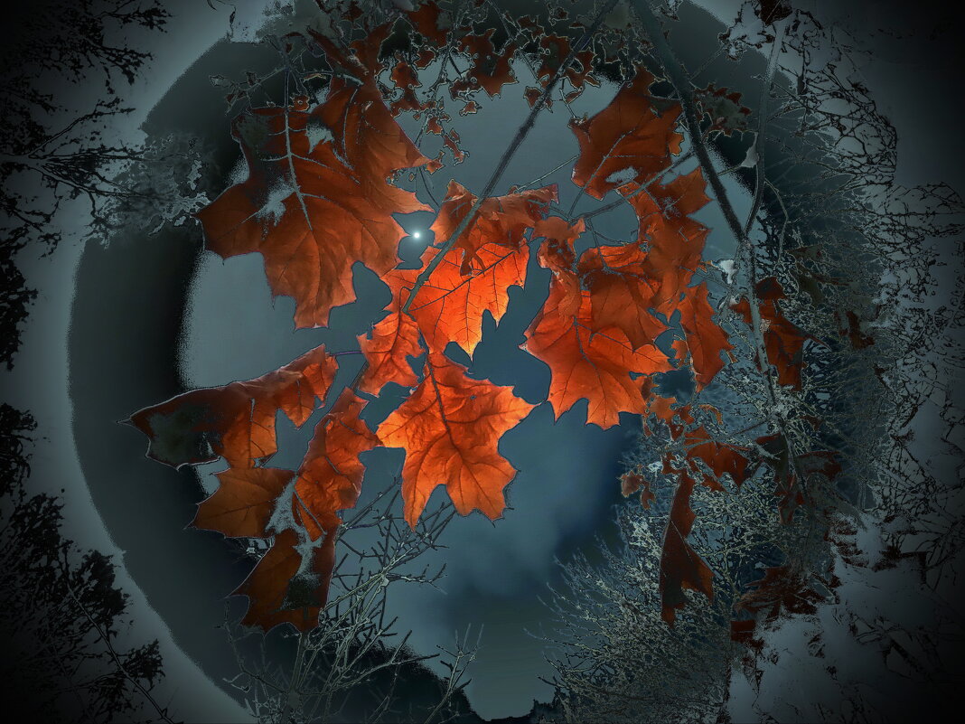 Из Константина Бальмонта  /  Огонь - Victor Vinocurov