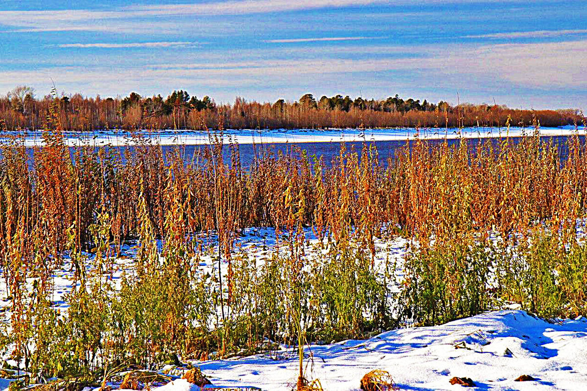 Октябрь...Пора предзимья на Юганской Оби! - Владимир 