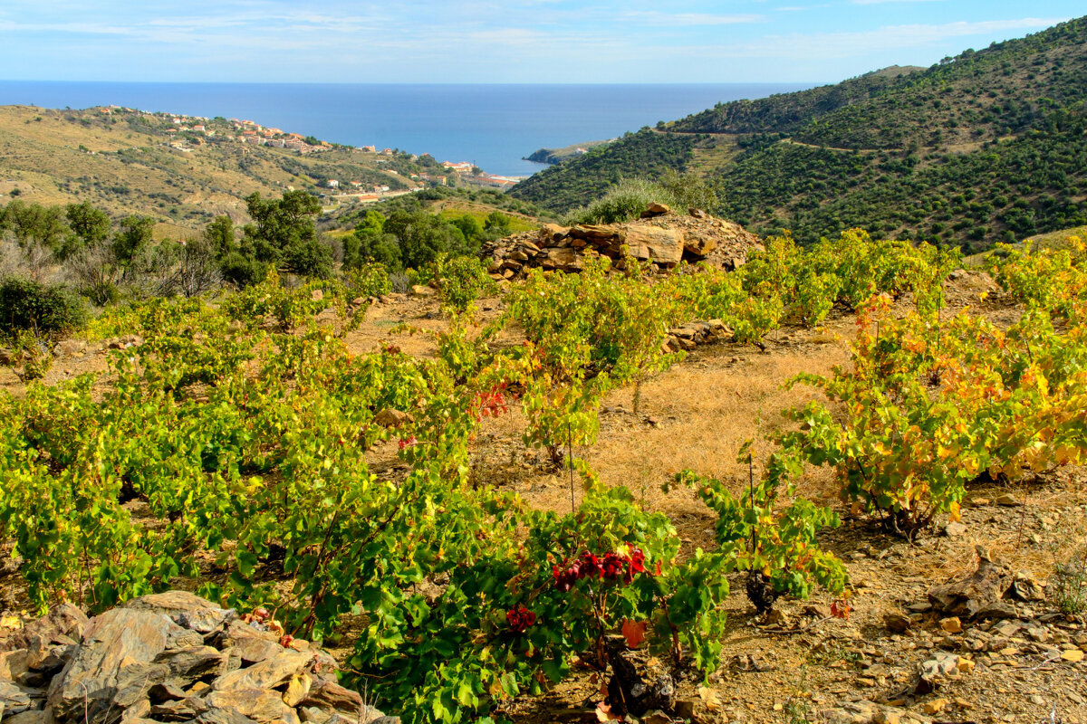 Пиренейский массив Сербер - Георгий А
