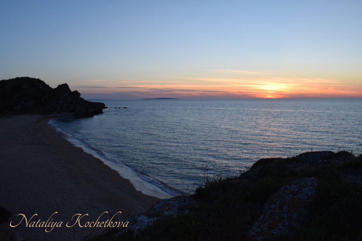 Природа Крыма - Amazing Cosmea Природа Крыма - Amazing Cosmea