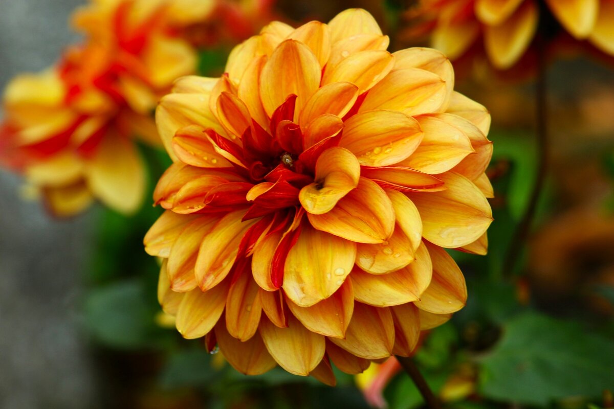 Доброе утро - Юрий. Шмаков