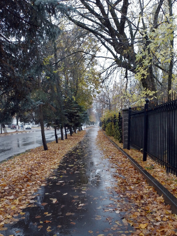 *** - Валентина Береснева