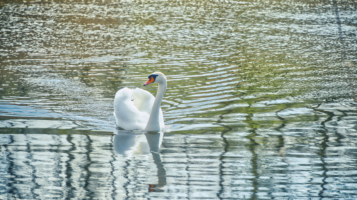 (°-°) - Jakob Dick (°-°) - Jakob Dick