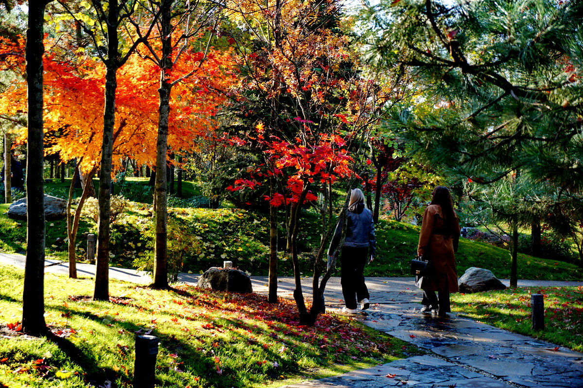 В парке... - Николай Саржанов