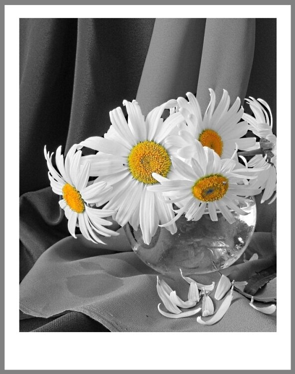 Ещё раз про ромашки... - Галина Кузьмина Ещё раз про ромашки... - Галина Кузьмина