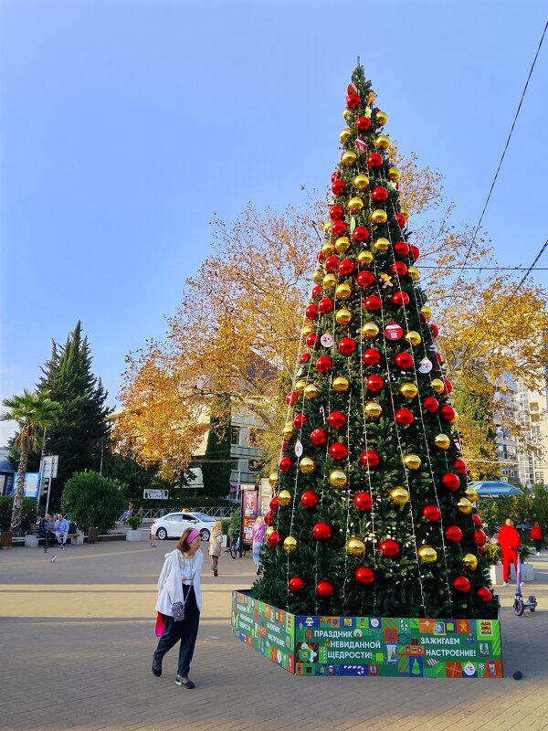 У нас уже первая елка - Tata Wolf