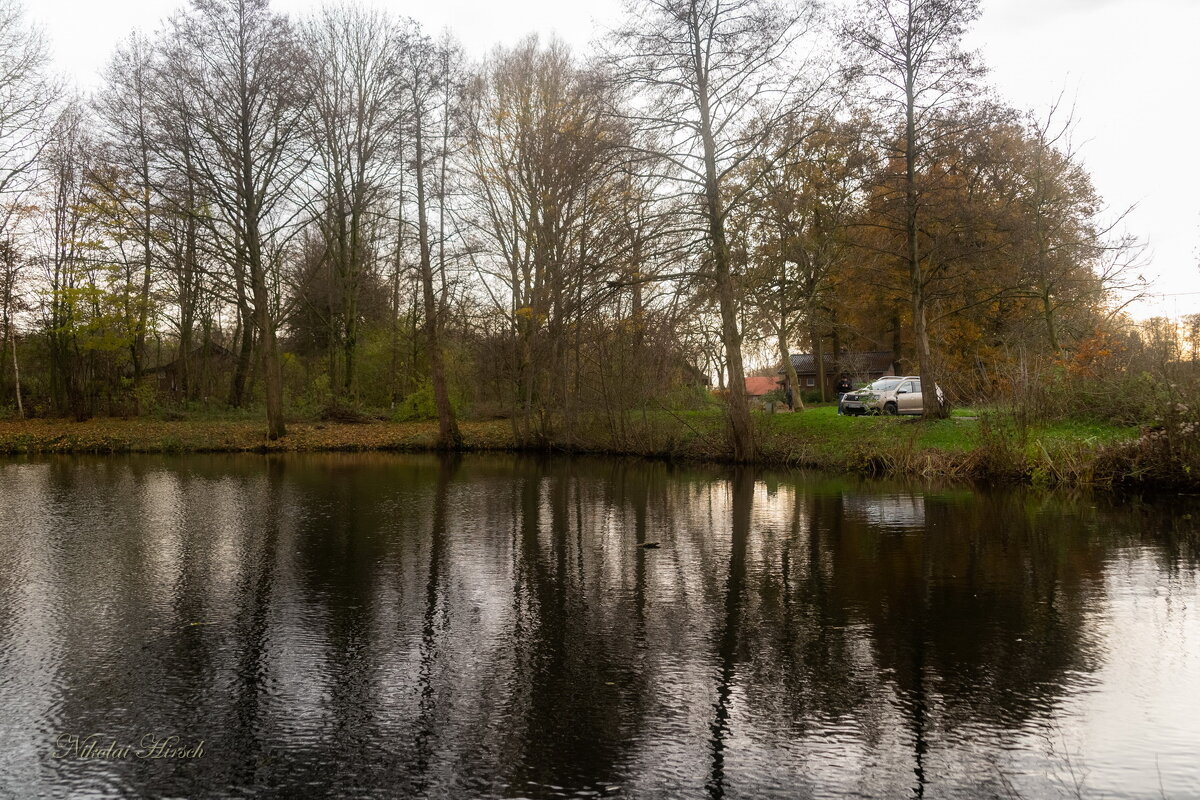 *** - Николай Гирш