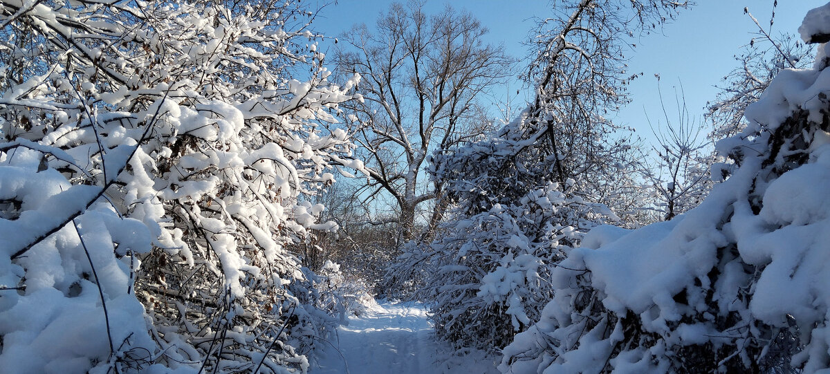 В гостях у сказки!!! - Радмир Арсеньев