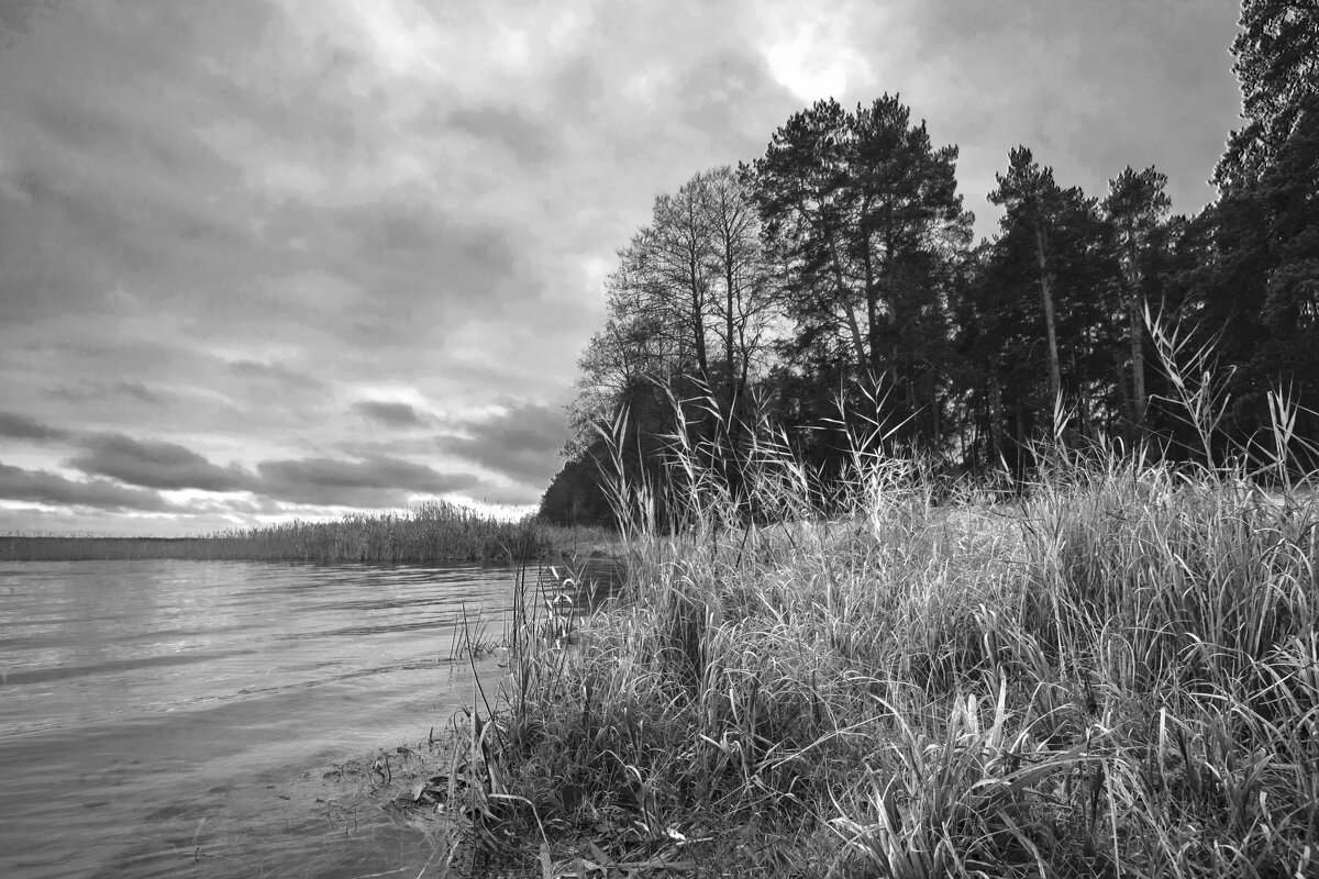 У озера. - Николай 