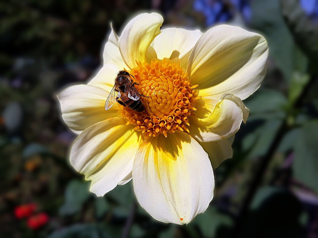 И ветер, играя  листвой, и  солнечный луч, как живой - Hope 