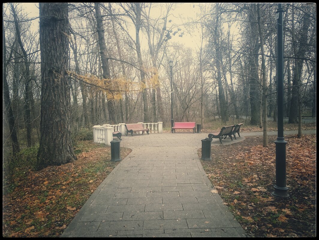 С прогулки по парку... - Руслан 