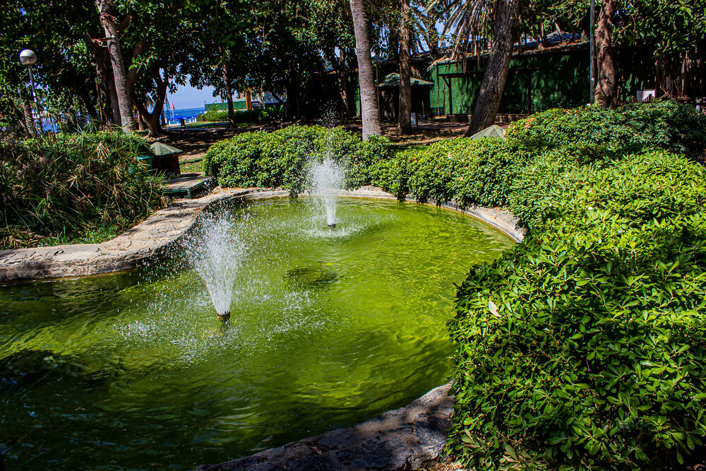 Летняя прохлада - Светлана SvetNika17