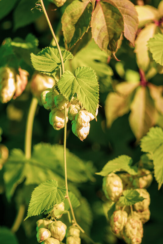 No name - Александр Алексеев