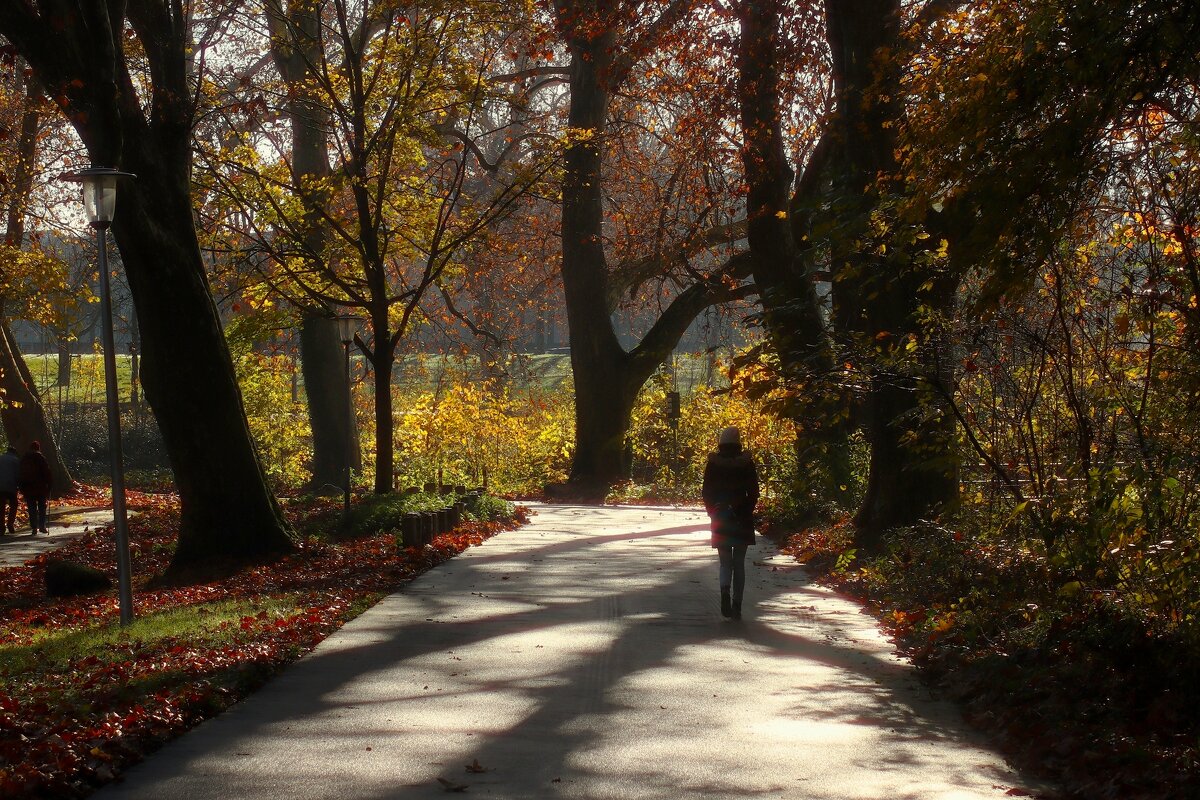 Наедине с осенью - Юрий. Шмаков