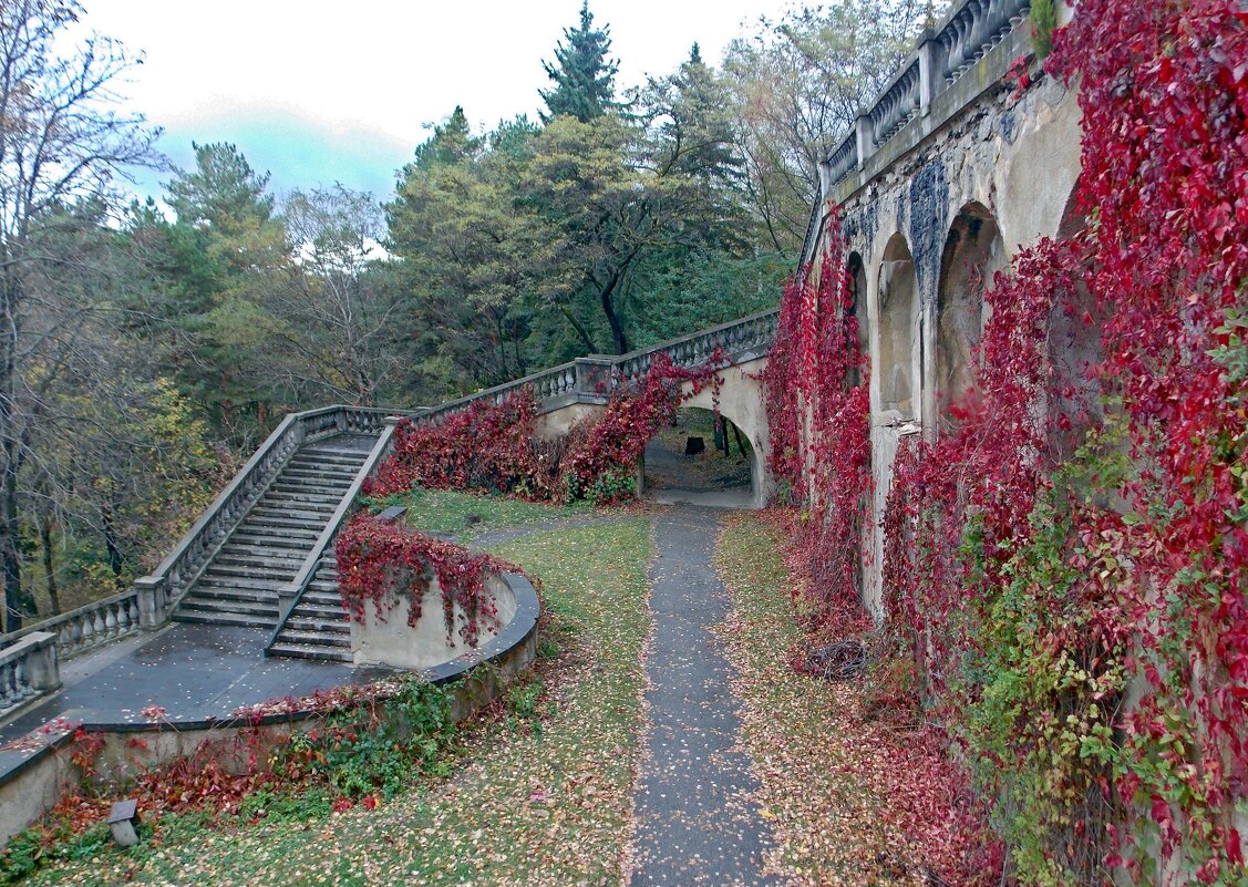 Осенние сюжеты Кисловодска - Galina Solovova Осенние сюжеты Кисловодска - Galina Solovova