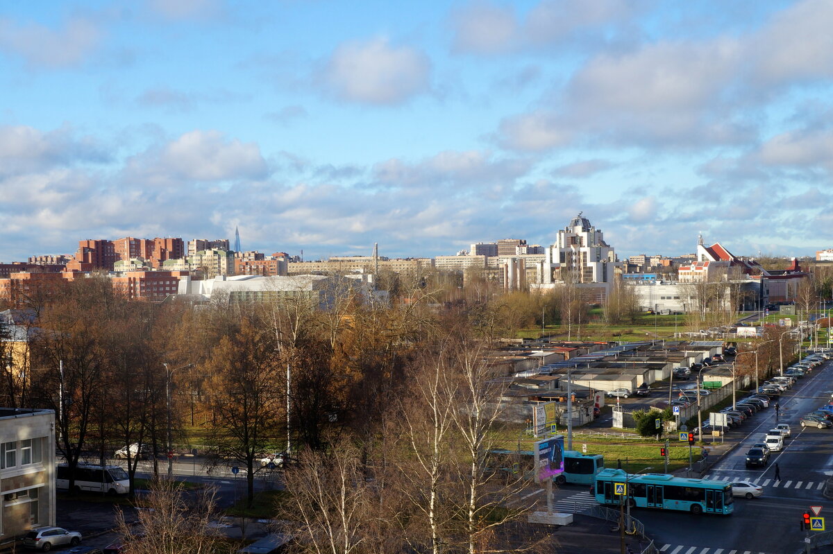 14.11.2025 / солнечный полдень - zavitok *