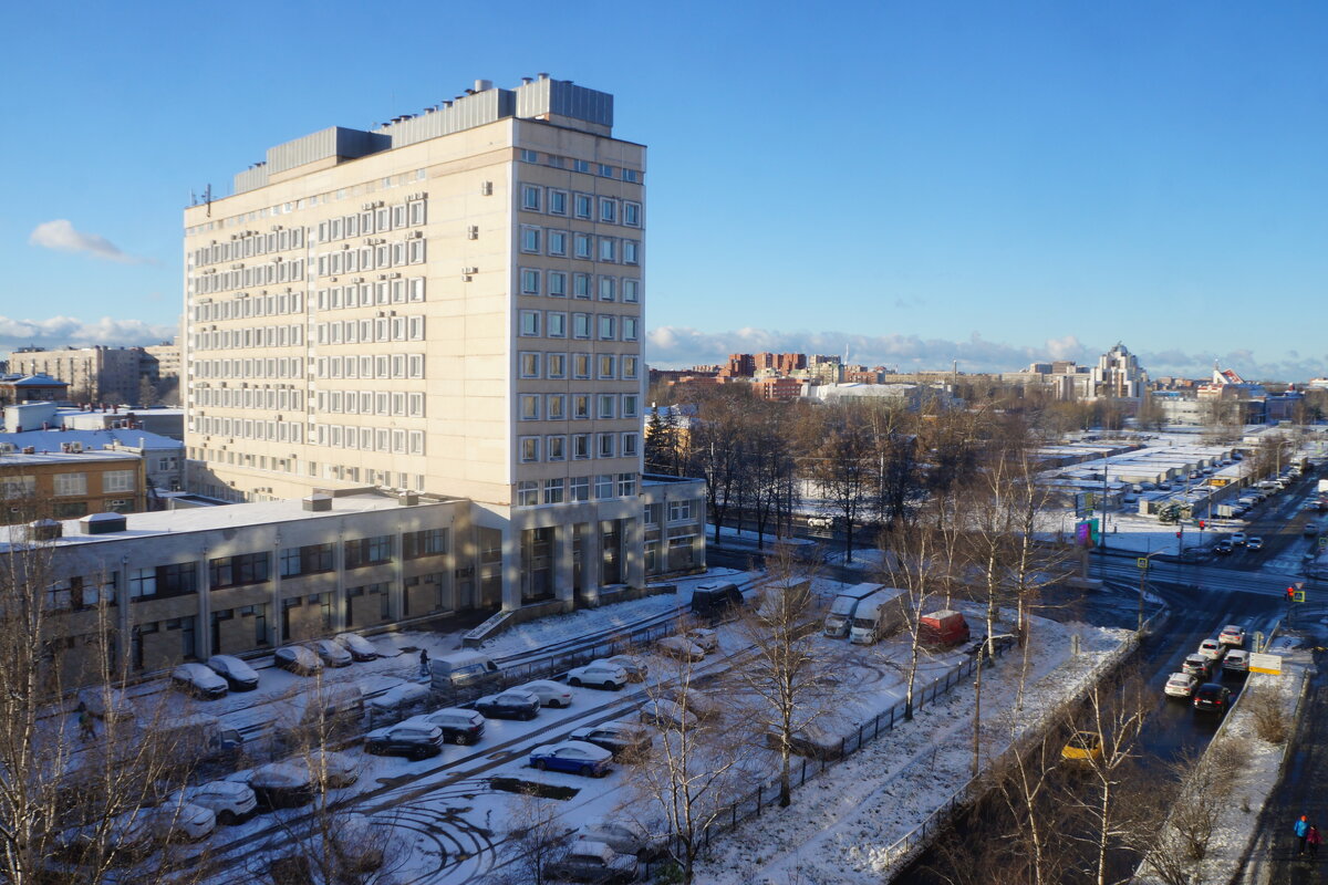 15.11.2025 / первый снег / солнечный полдень - zavitok *